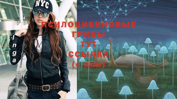 марки nbome Ладушкин