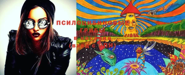 дживик Лабытнанги