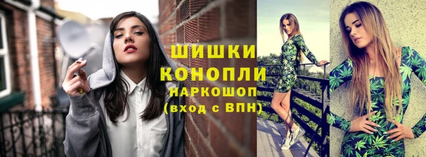 дживик Лабытнанги