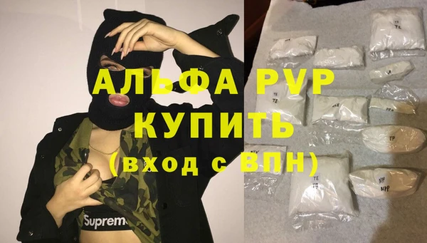 СК Кулебаки